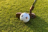 The Bettinardi Queen B 8 putter sits very well behind the ball