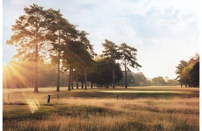 Newark Golf Club